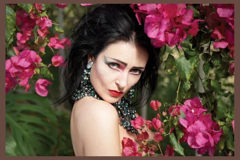 Siouxsie And The Banshees